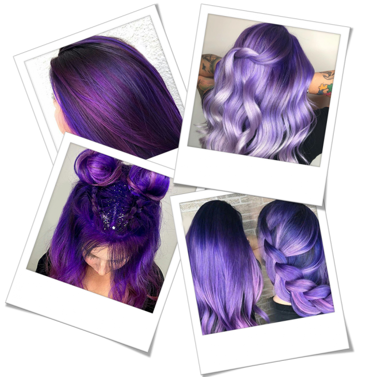 purple_2